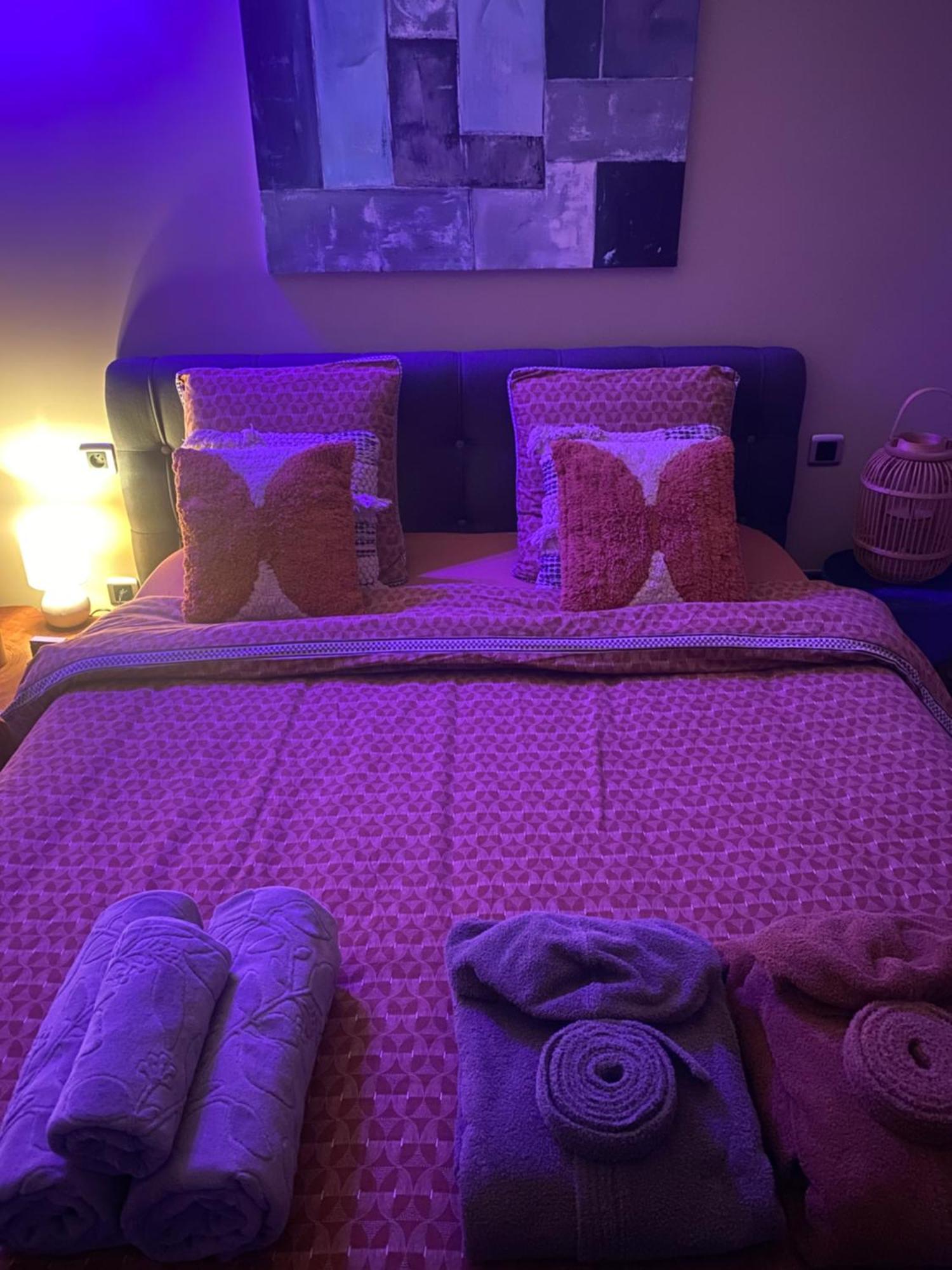 Le Cocoon Lodge Du Gapeau & Massage Solliès-Pont Kültér fotó